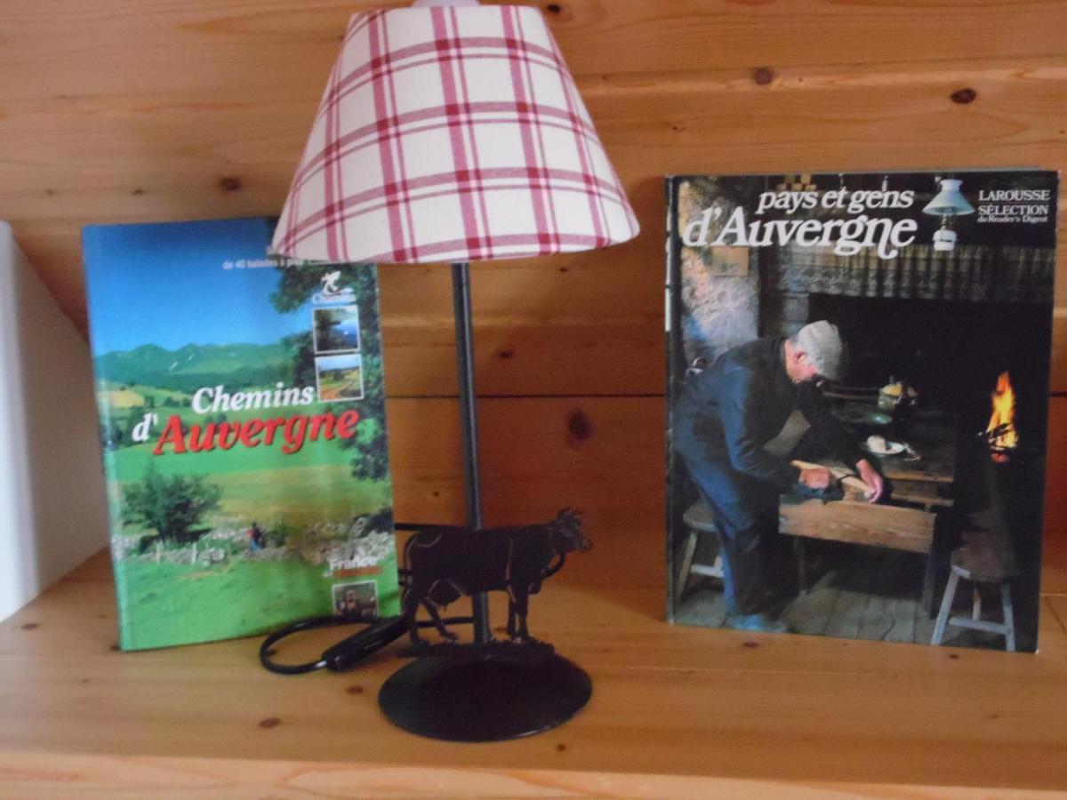 Chalet Des Clarines Saint-Genès-Champespe Esterno foto